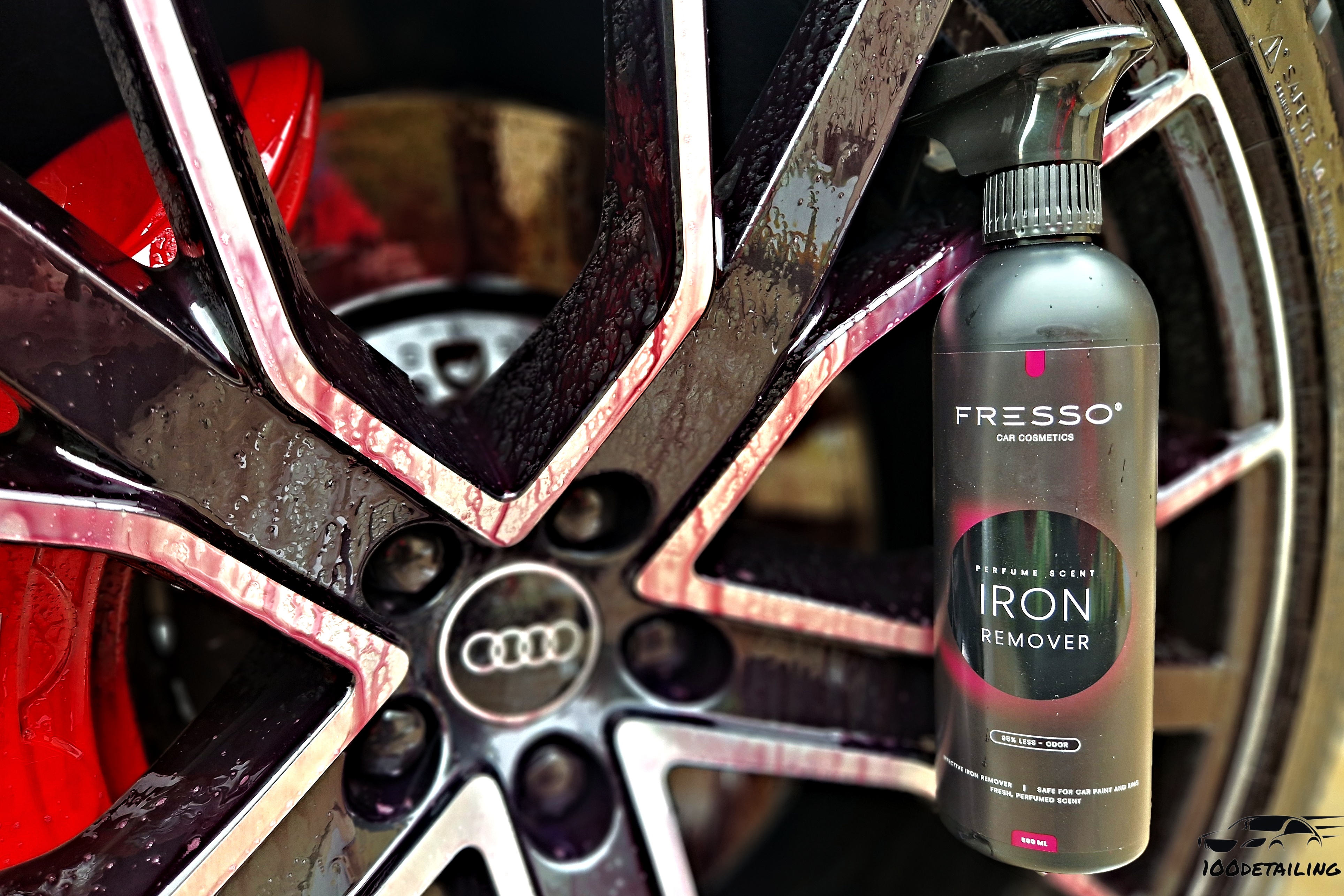 Odstraňovač polétavé rzi Fresso Iron Remover5